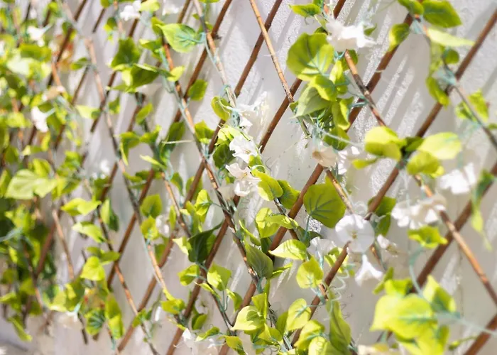 公寓 Carrapateiramar 卡拉帕泰拉