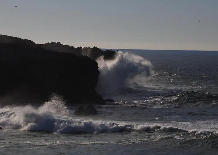 公寓 Carrapateiramar 卡拉帕泰拉