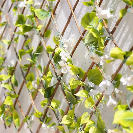 Апартаменты Carrapateiramar Каррапатейра